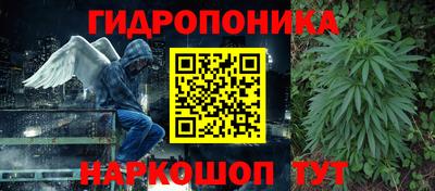 СК Чебоксары
