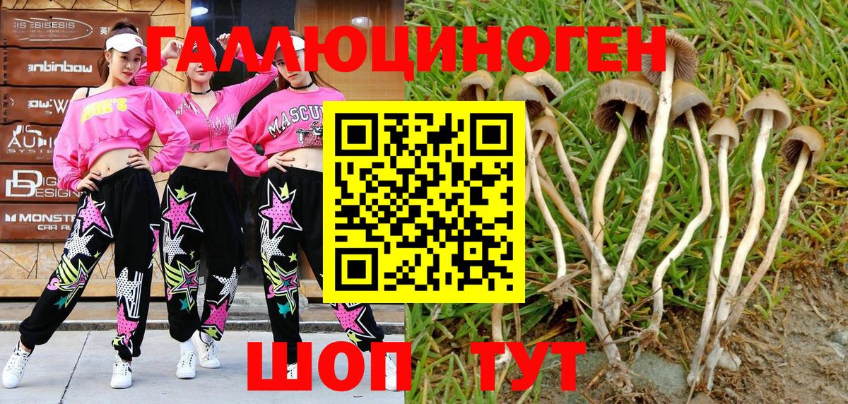 Комсомольск-на-Амуре  Псилоцибиновые грибы GOLDEN TEACHER  Галлюциногенные грибы Cubensis  Вход с VPN 