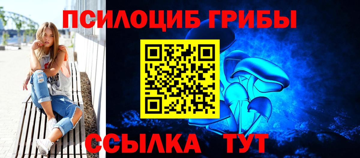 Галлюциногенные грибы Psilocybe Комсомольск-на-Амуре